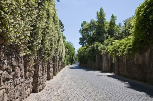 Via di Porta S.Sebastiano    